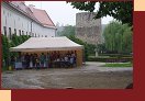  Foto Lenka M._70 
